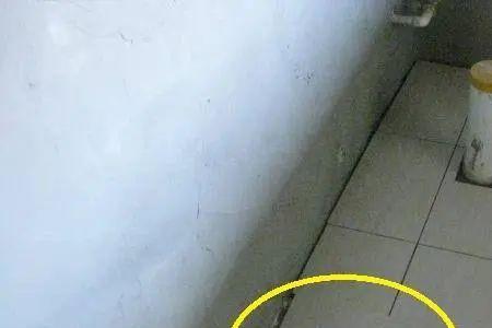 厨房地漏安装位置及尺寸