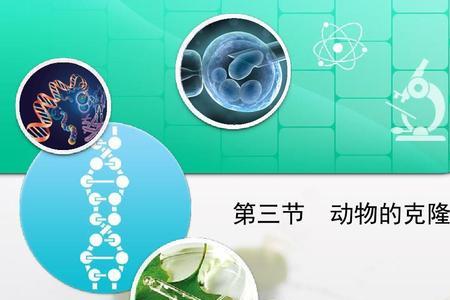 克隆出来的生物有意识吗