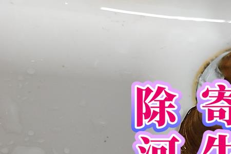 鳑鲏鱼繁殖用大河蚌还是小河蚌