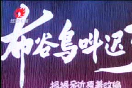 布谷鸟早上六点多叫