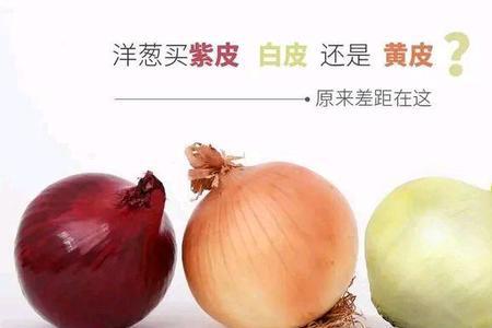 sall和sela的区别
