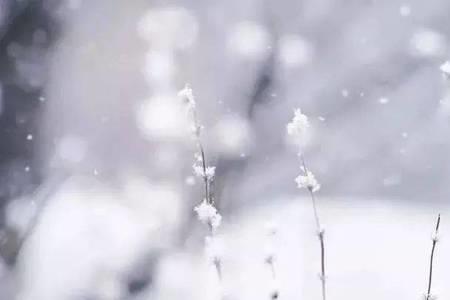 愿你三冬暖的意思