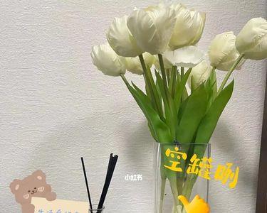 brille是什么牌子