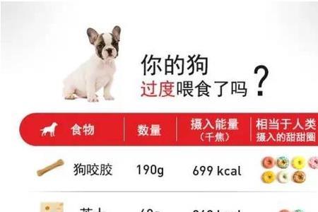狗狗体重与食量对照表