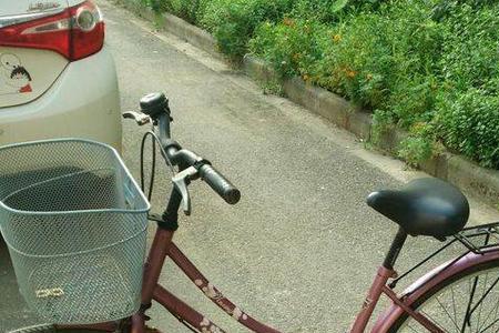 捷安特怎么转让