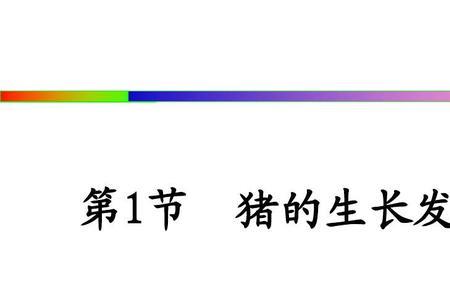 马的生长发育规律