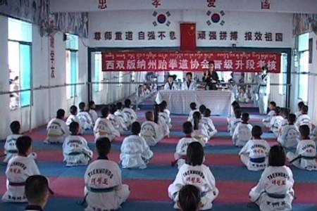跆拳道升学可以加分吗