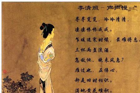 为李清照写一段推荐词