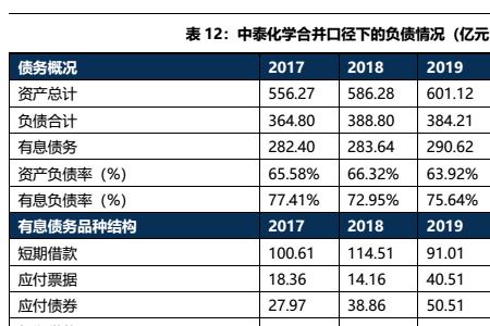 中泰化学是什么级别