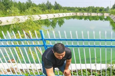 农村生活污水和粪便污水分开吗