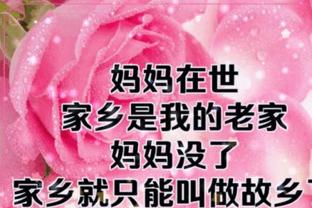 离开妈妈的伤感歌曲