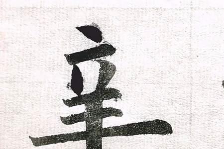 一个走之儿加上一个辛是什么字
