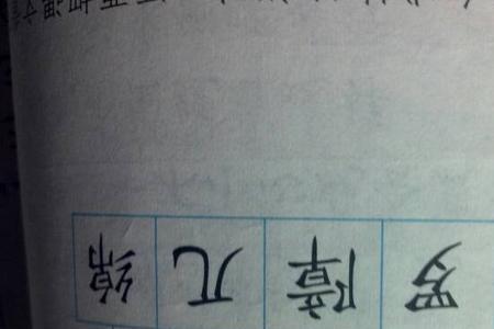 始字能可以组什么两个字的词