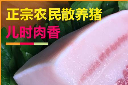 带膘肉和五花肉哪个好