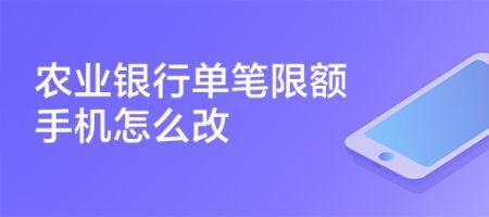 安徽农金单笔限额怎么设置