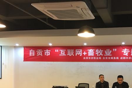 自贡市职业培训学院是公办吗