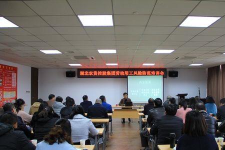 湖北农资控股集团待遇怎么样