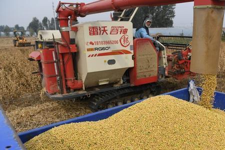山东大豆补贴最新政策