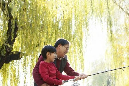 柳杨在古代的含义