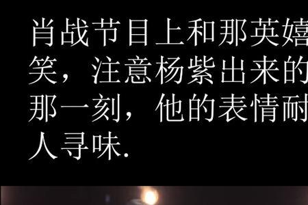 那英会撮合杨紫和肖战吗