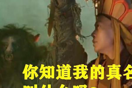 唐三藏是什么教徒