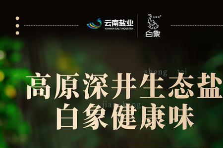 白象食盐是不是白象集团的