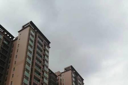坪山泰富华庭为什么便宜