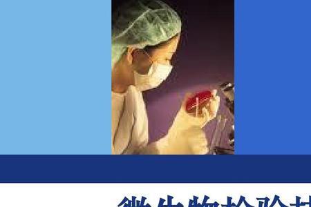 微生物检验是查什么的
