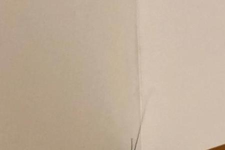 什么颜色不易招虫或蟑螂
