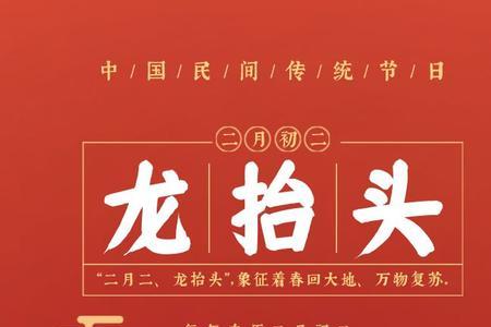 龙抬头有多少集