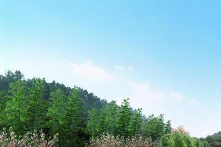 景区内公路由哪个部门管理