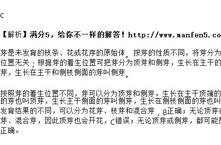 单花芽和混合芽的区别