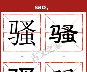 臊的读音是什么