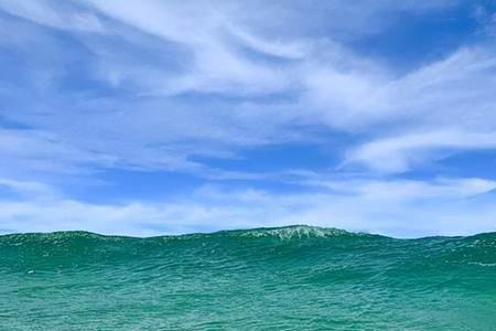 下了海就很难上岸什么意思