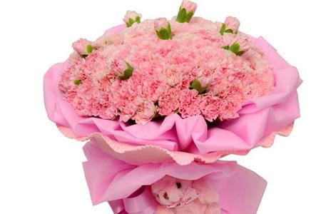深红康乃馨花语代表什么