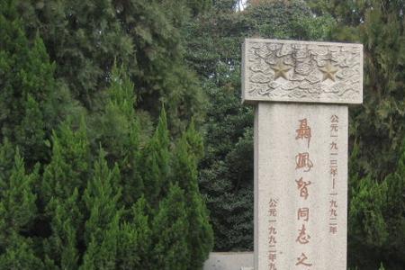 聂凤智电视连续剧