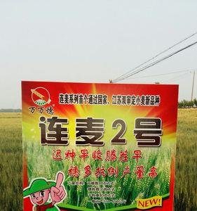 华伟307小麦品种的国审公告