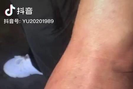 殷道亲亲周道尊尊什么意思