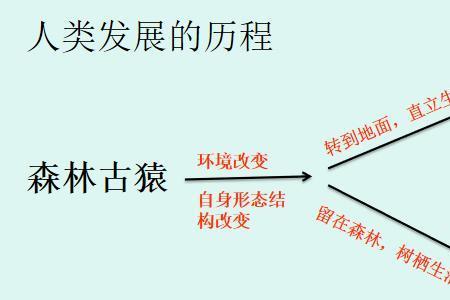 人类的起源和发展环境因素