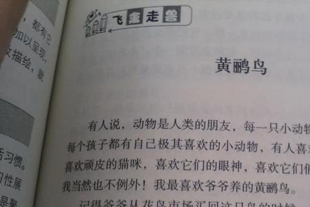 小动物的特点50字