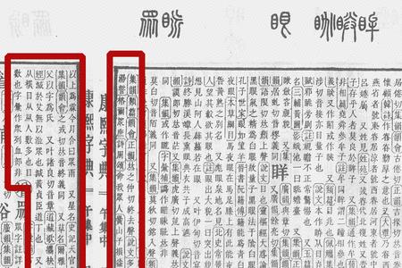 众代表什么数