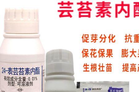 赤霉酸和芸苔素混用能解药害吗