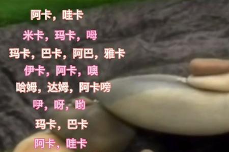 玛卡巴卡配音员是谁