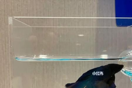 斗鱼缸里面要一直放叶子吗