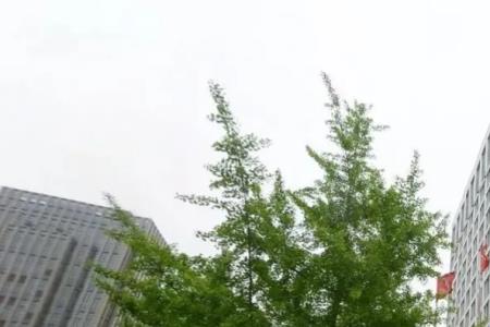世联通是正规公司吗