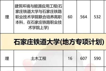 石家庄有道学院吗