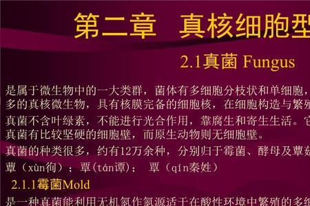 真核细胞微生物有哪些