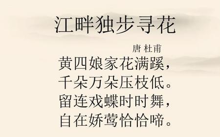 江畔独步寻花其一朗诵