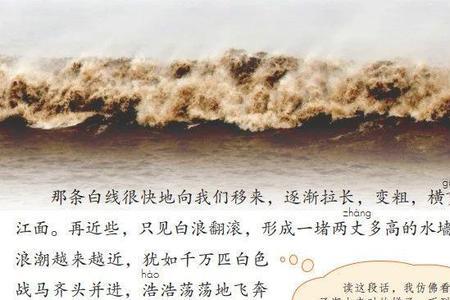 苏轼八月十八观潮五绝全诗