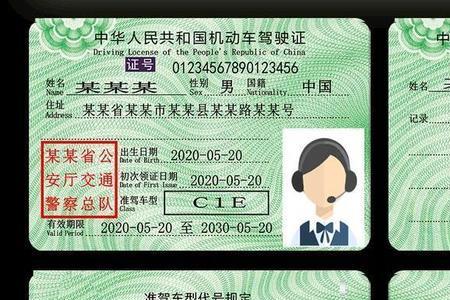 全国驾驶证d照有多少人